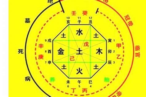 八字年柱|生辰八字算命、五行喜用神查询（免费测算）